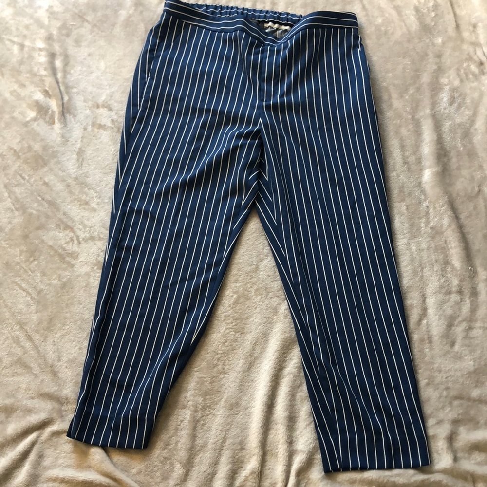 banana republic cropped Hayden pants